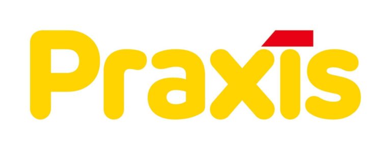 Praxis P1 meter
