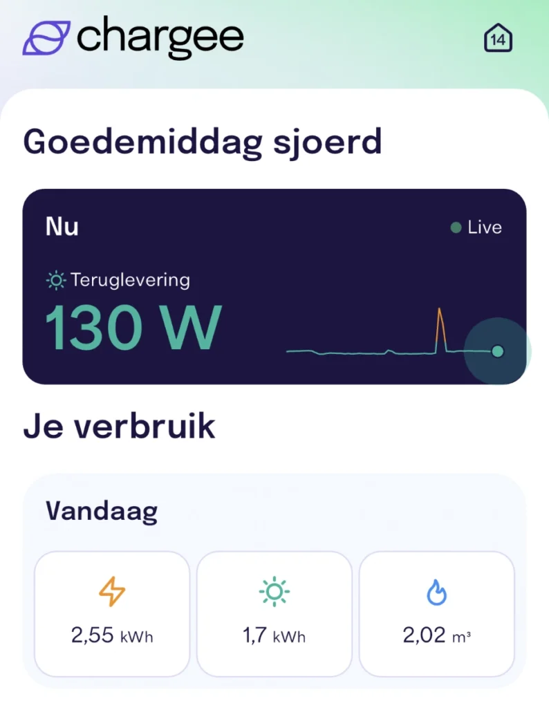Wat zie je met een P1 Meter?