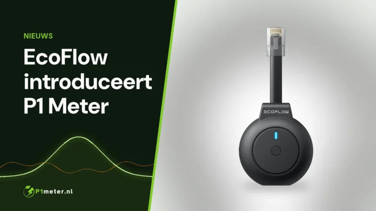 EcoFlow P1 Meter