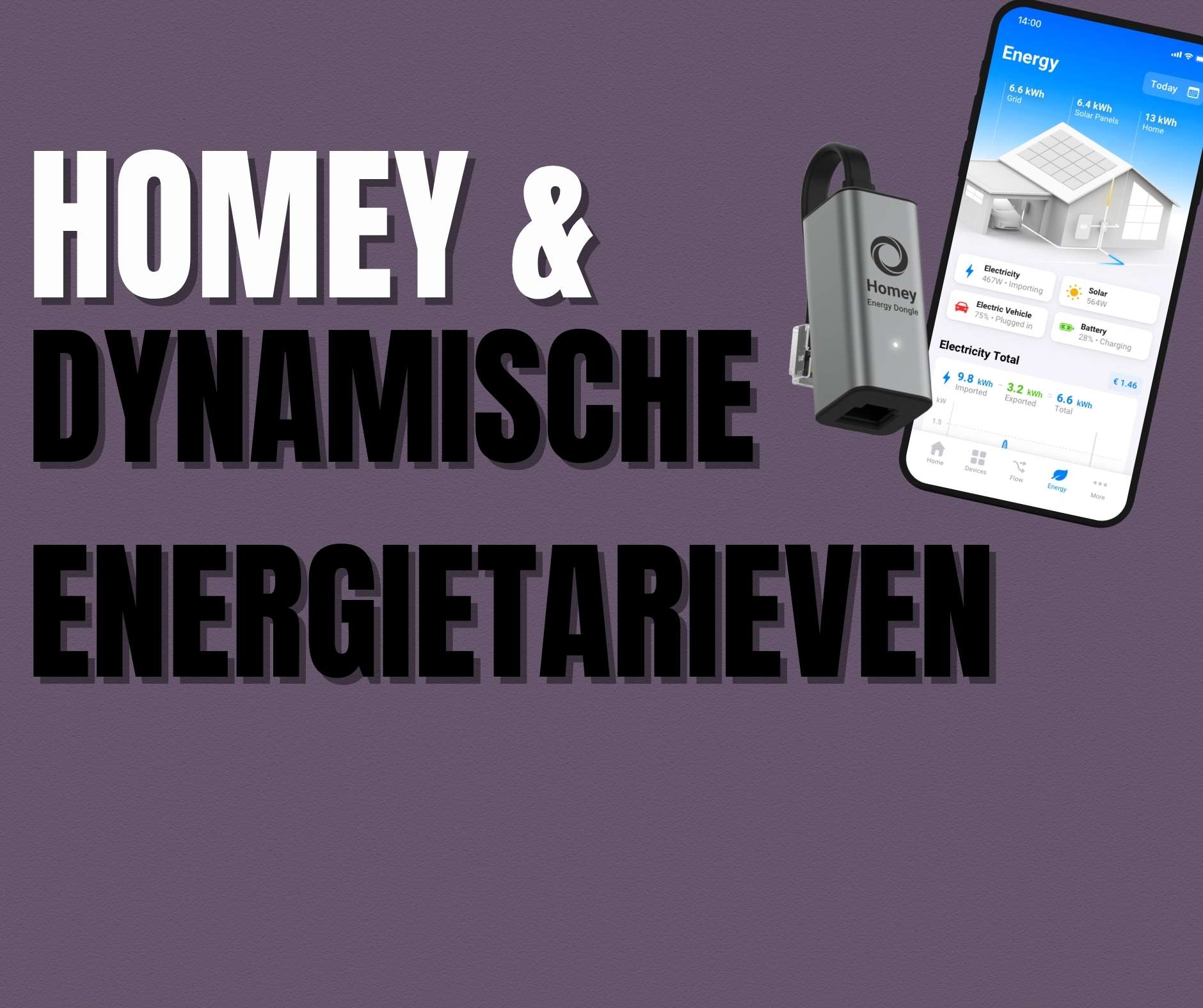 Homey & Dynamische Energietarieven