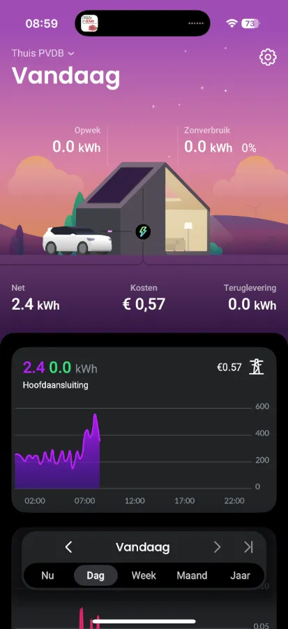 huisanimatie stroomverbruik elektrische auto homewizard app