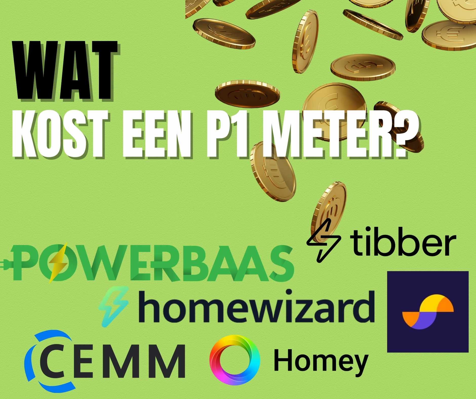 Wat kost een P1 Meter?