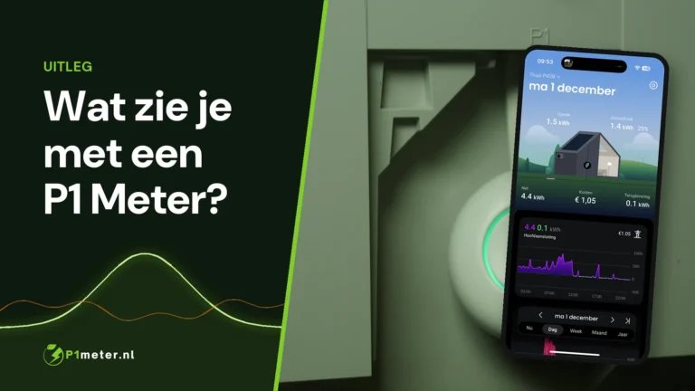HomeWizard P1 Meter in de P1-poort met het huisoverzicht in de HomeWizard-app